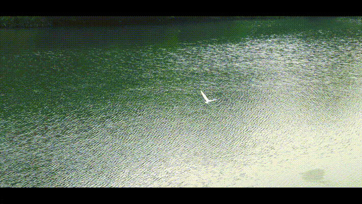 Jakarta Interior Design Company